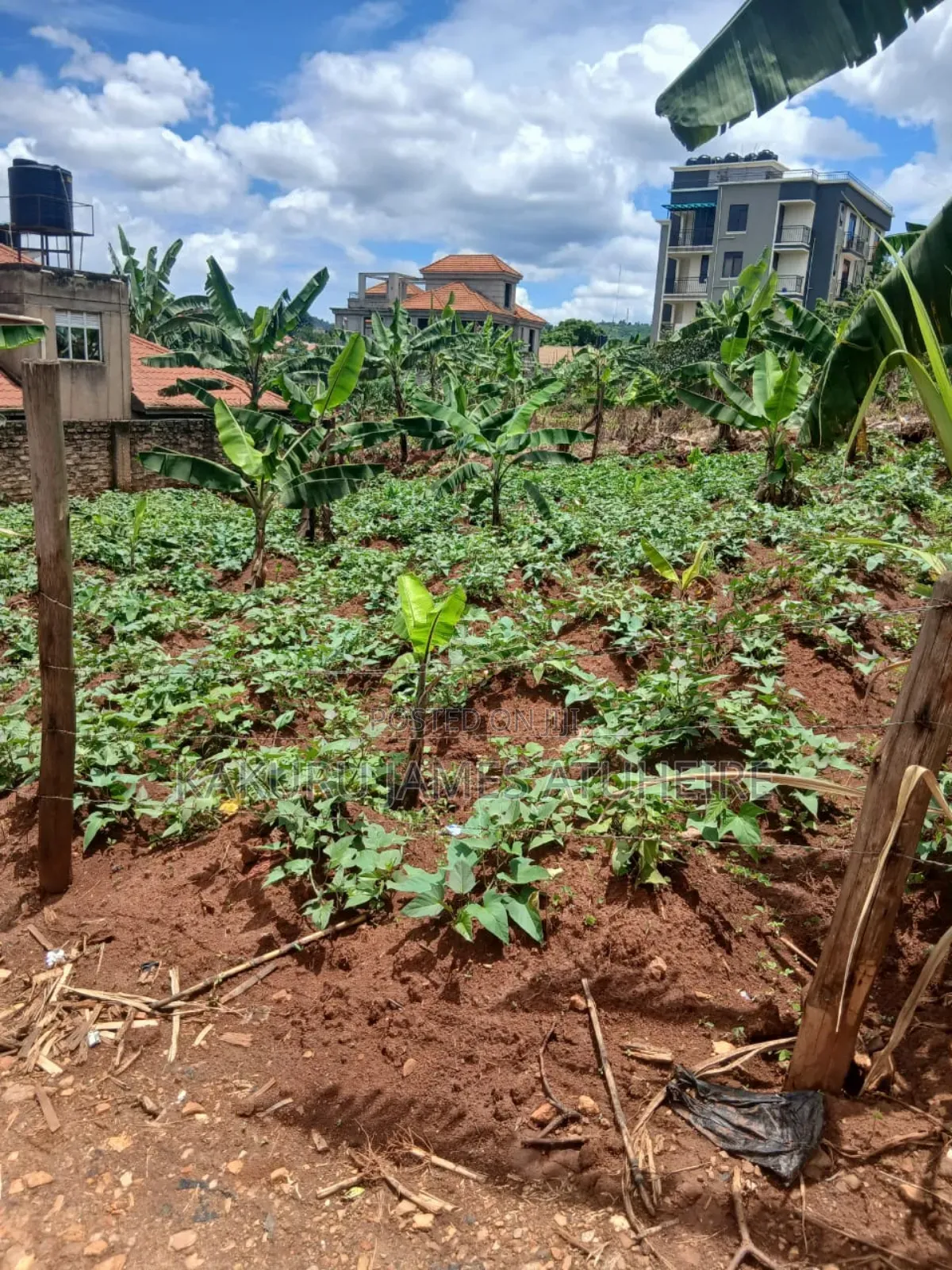 Lands and Properties