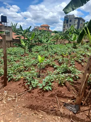 Lands and Properties