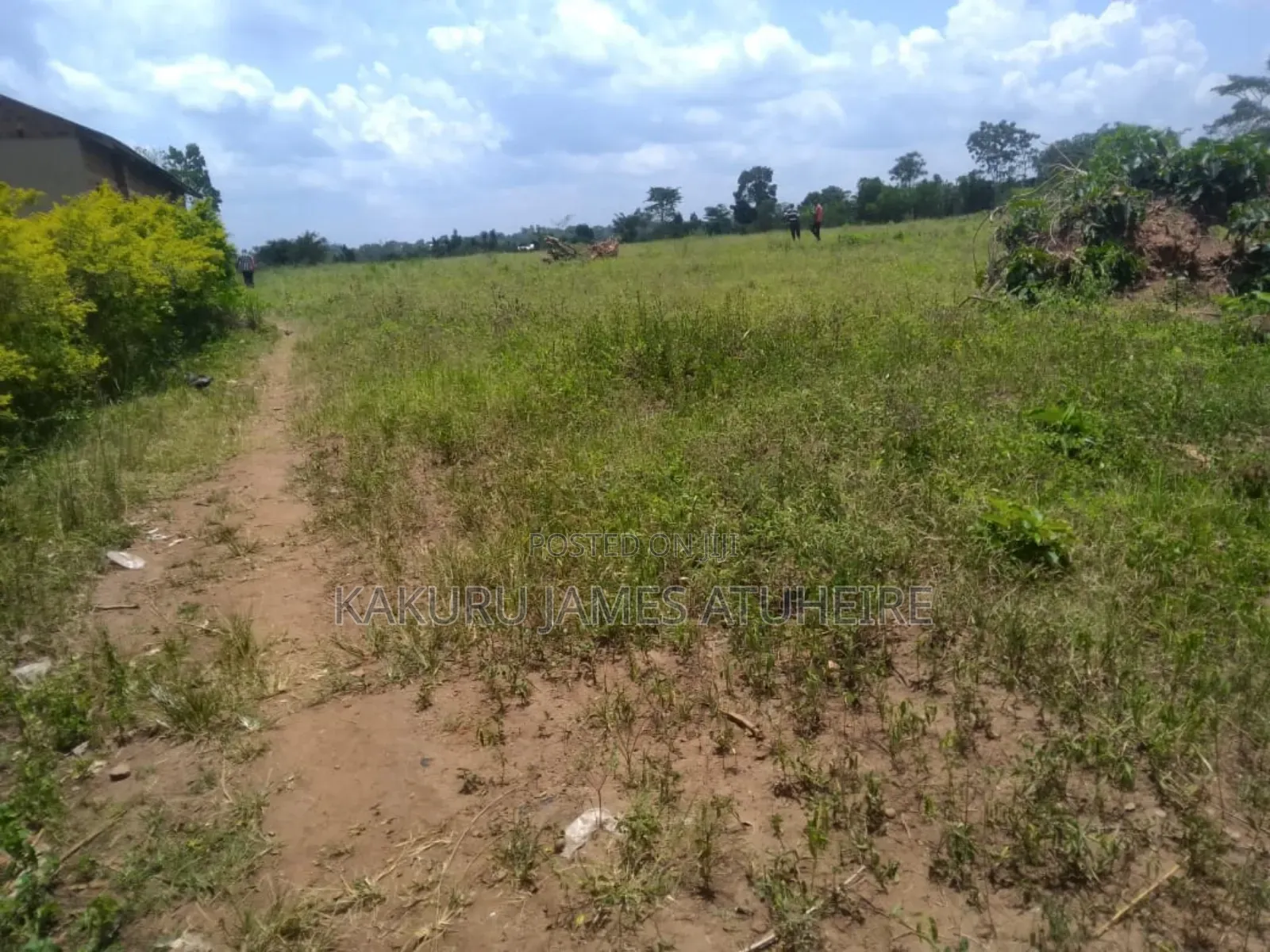 Lands and Properties