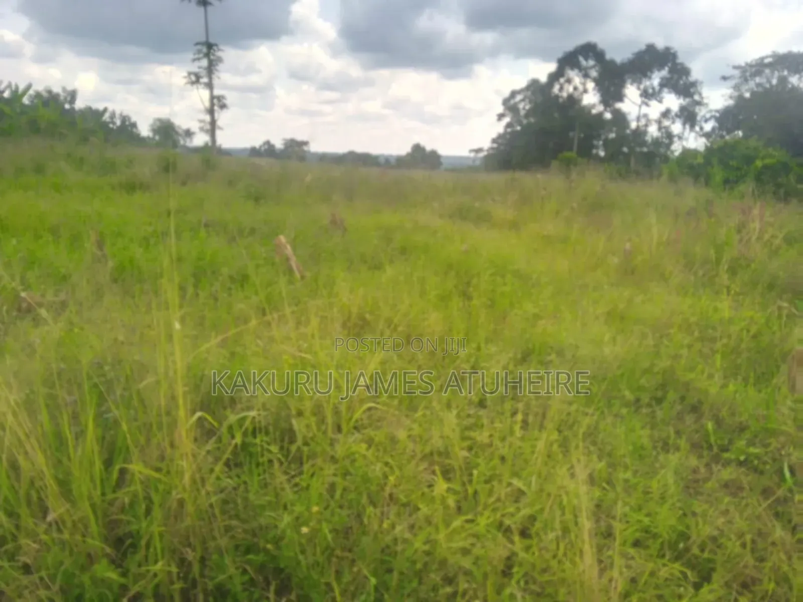 Lands and Properties