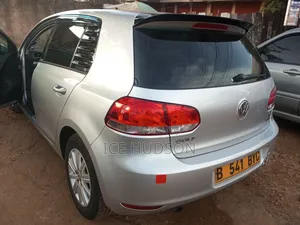 Volkswagen Golf 2009 Silver