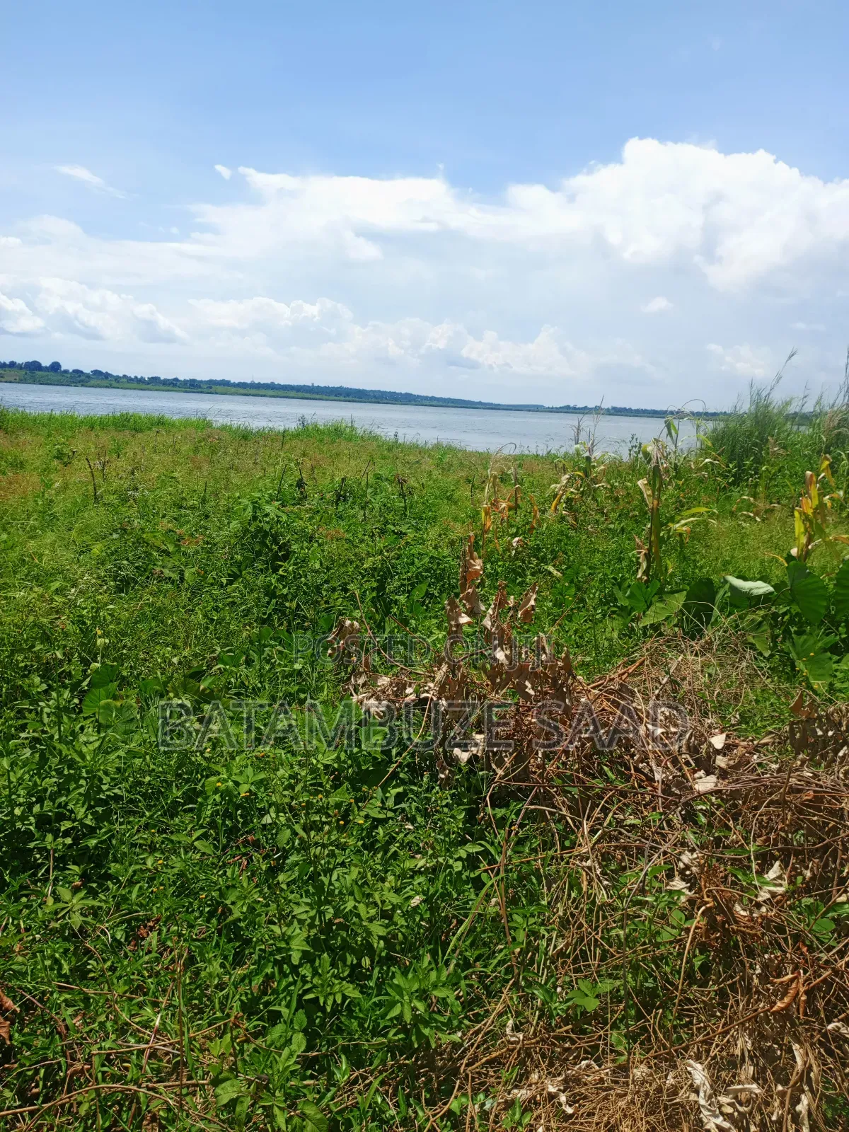 20 Acres 0f Farm Land on the Shores of Lake Victoria