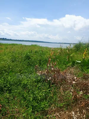 20 Acres 0f Farm Land on the Shores of Lake Victoria
