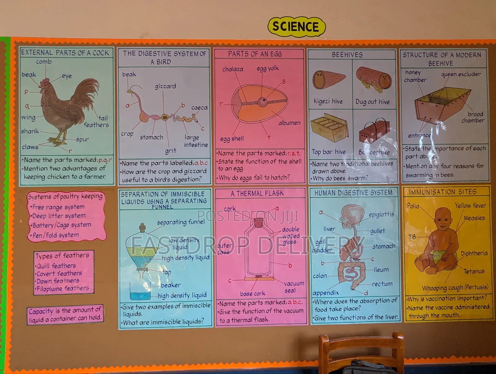 School Manilla Charts