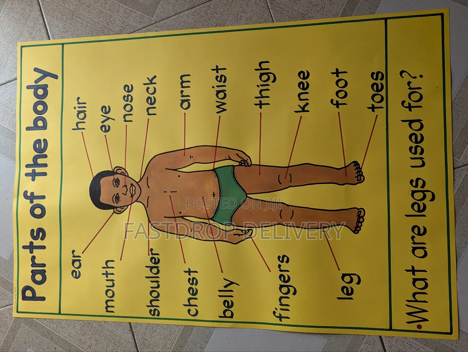 School Manilla Charts