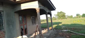 House Arch Finishing and Piller Designing