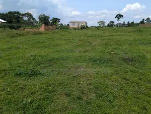 Plots for Sell at Kamuli Kakiri