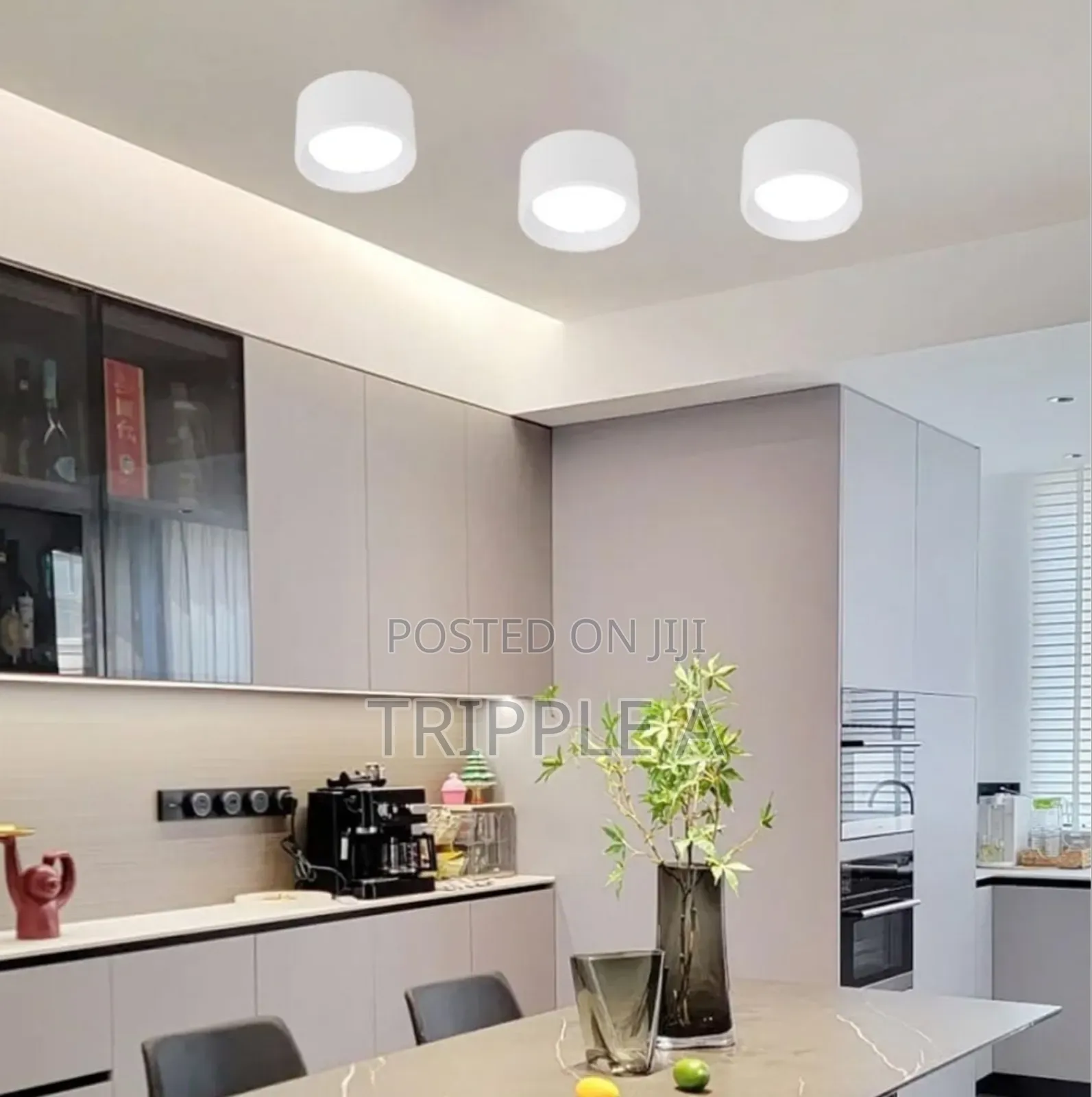 Commercial Mall Lighting Fixture