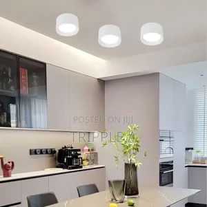 Commercial Mall Lighting Fixture