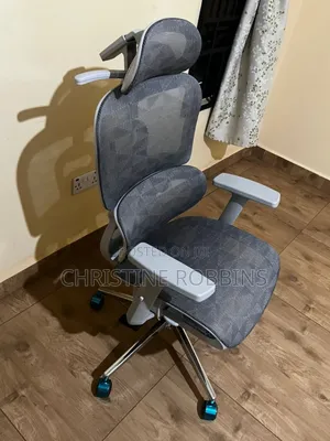 Executive Mesh Chair Ergonomic -