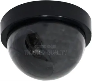 Dummy Camera