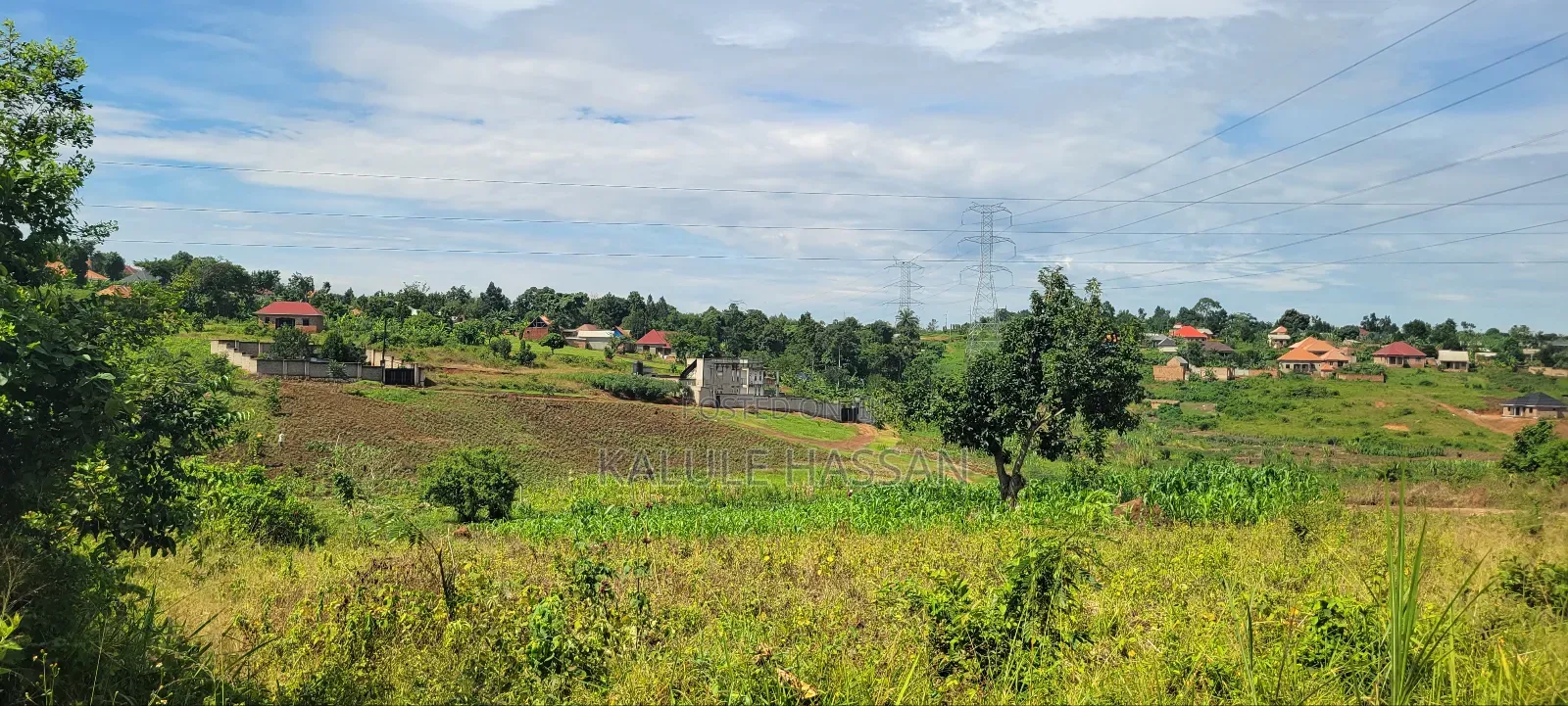 50 by 50 Plot at Kigoogwa