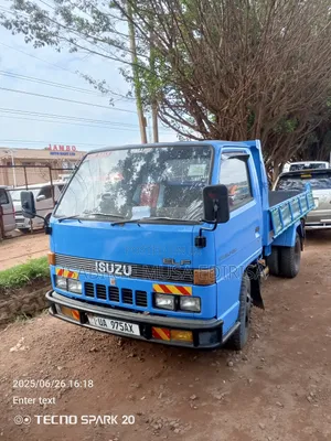 Used Isuzu Dumper