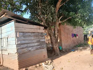 Plot on Zale
