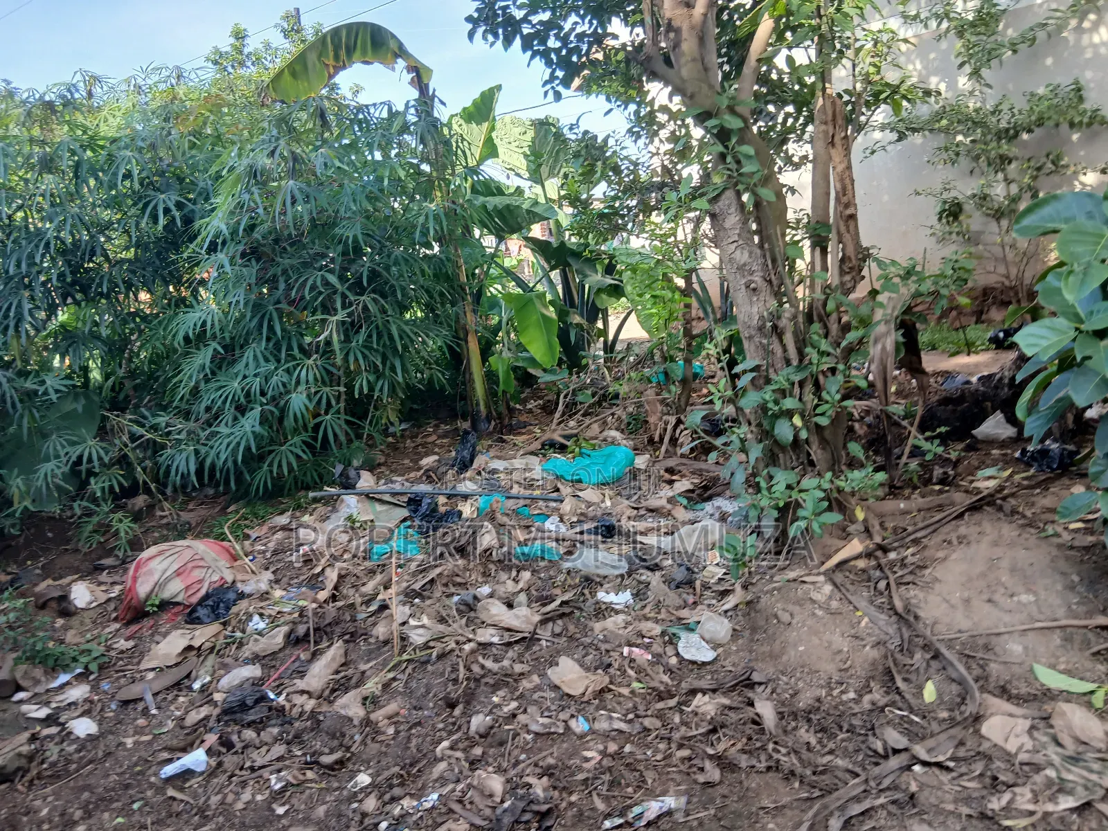 Plot on Zale for sale - Price: USh 45,000,000 on Jiji.ug [Rubaga]