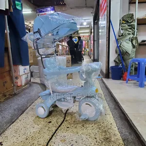 Blue Umbrella Push Tricycle