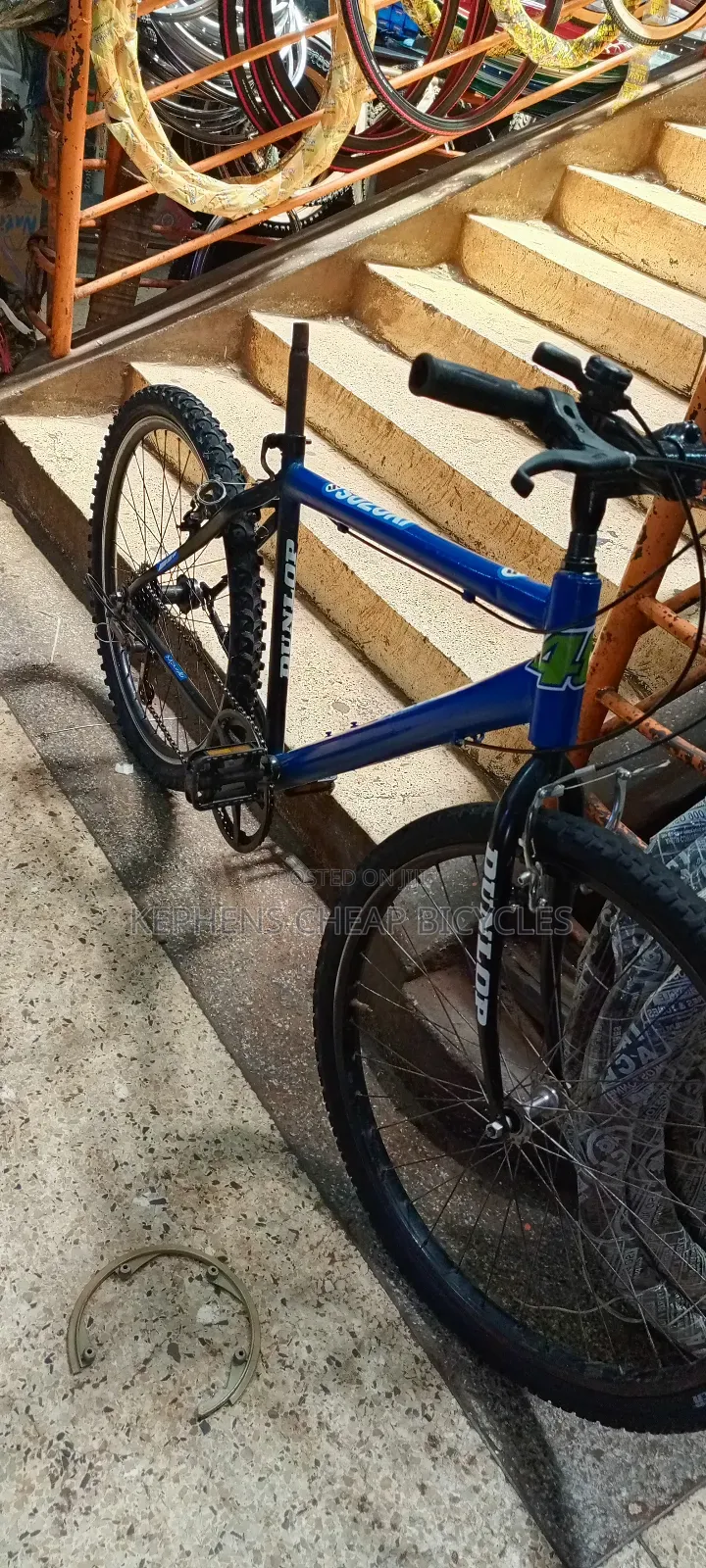 Bicycless for Adultssss