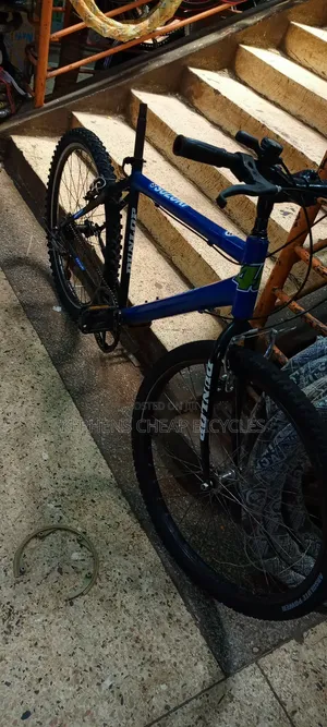 Bicycless for Adultssss