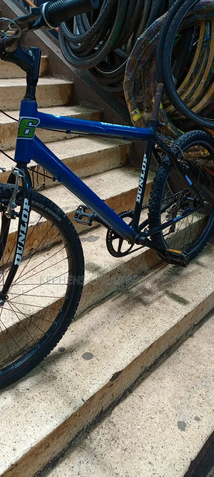 Bicycless for Adultssss