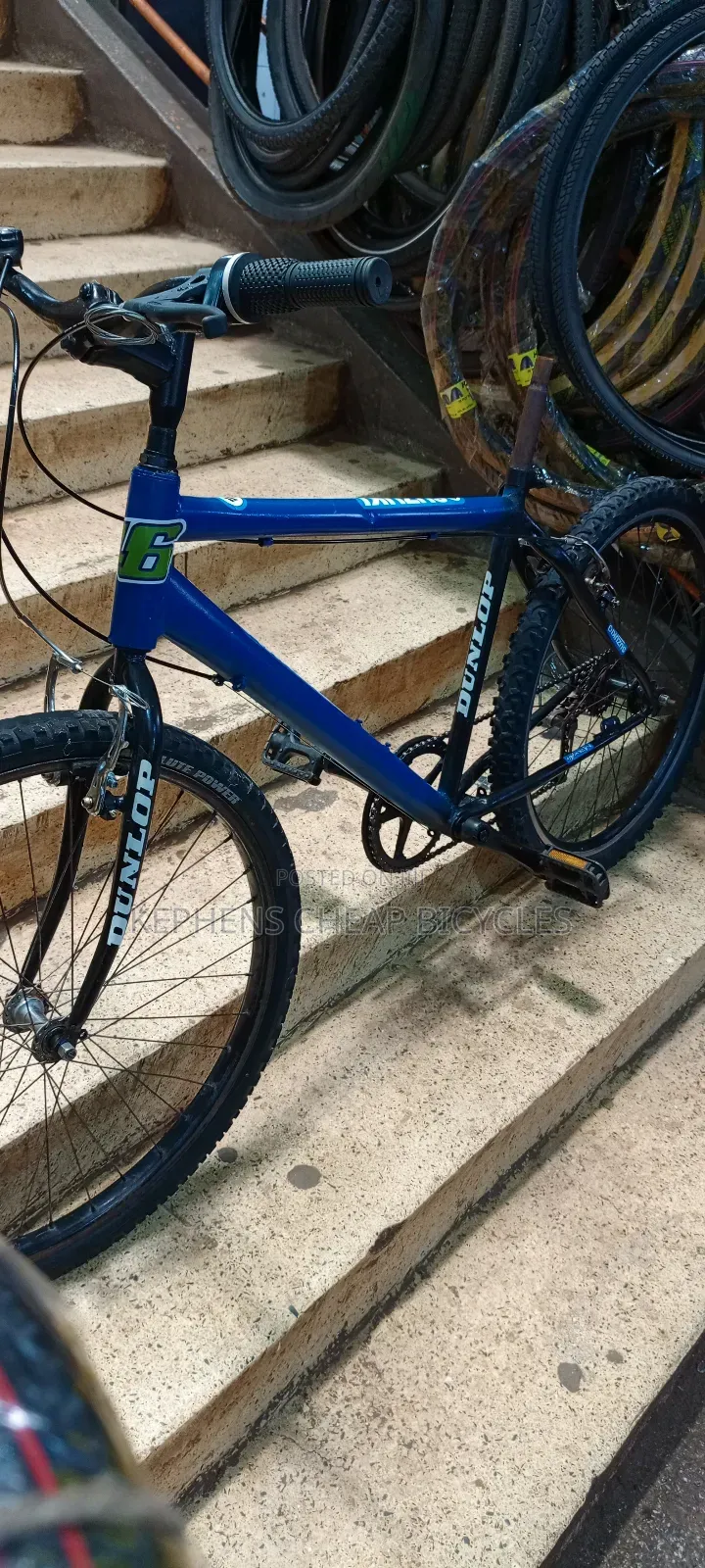 Bicycless for Adultssss