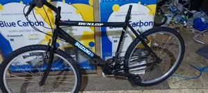 Bicycle for Adulllts