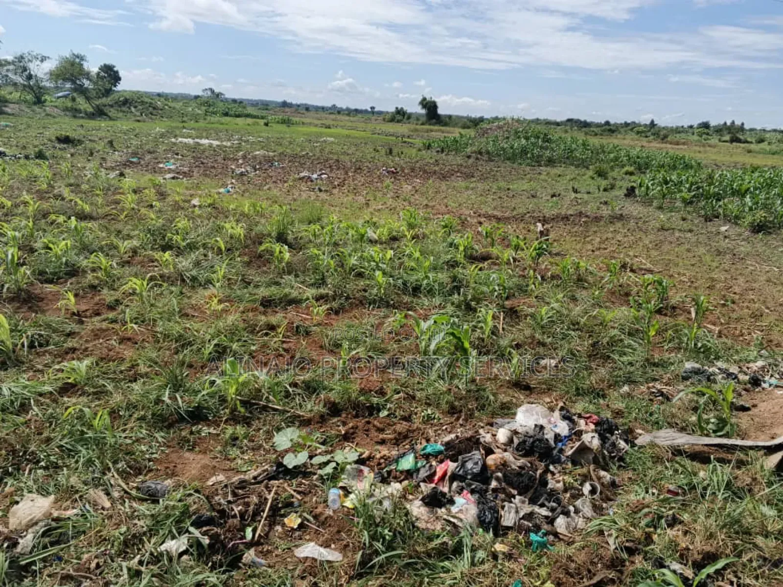 350 Acres , Kikyusa Luwero , Each 7.5m