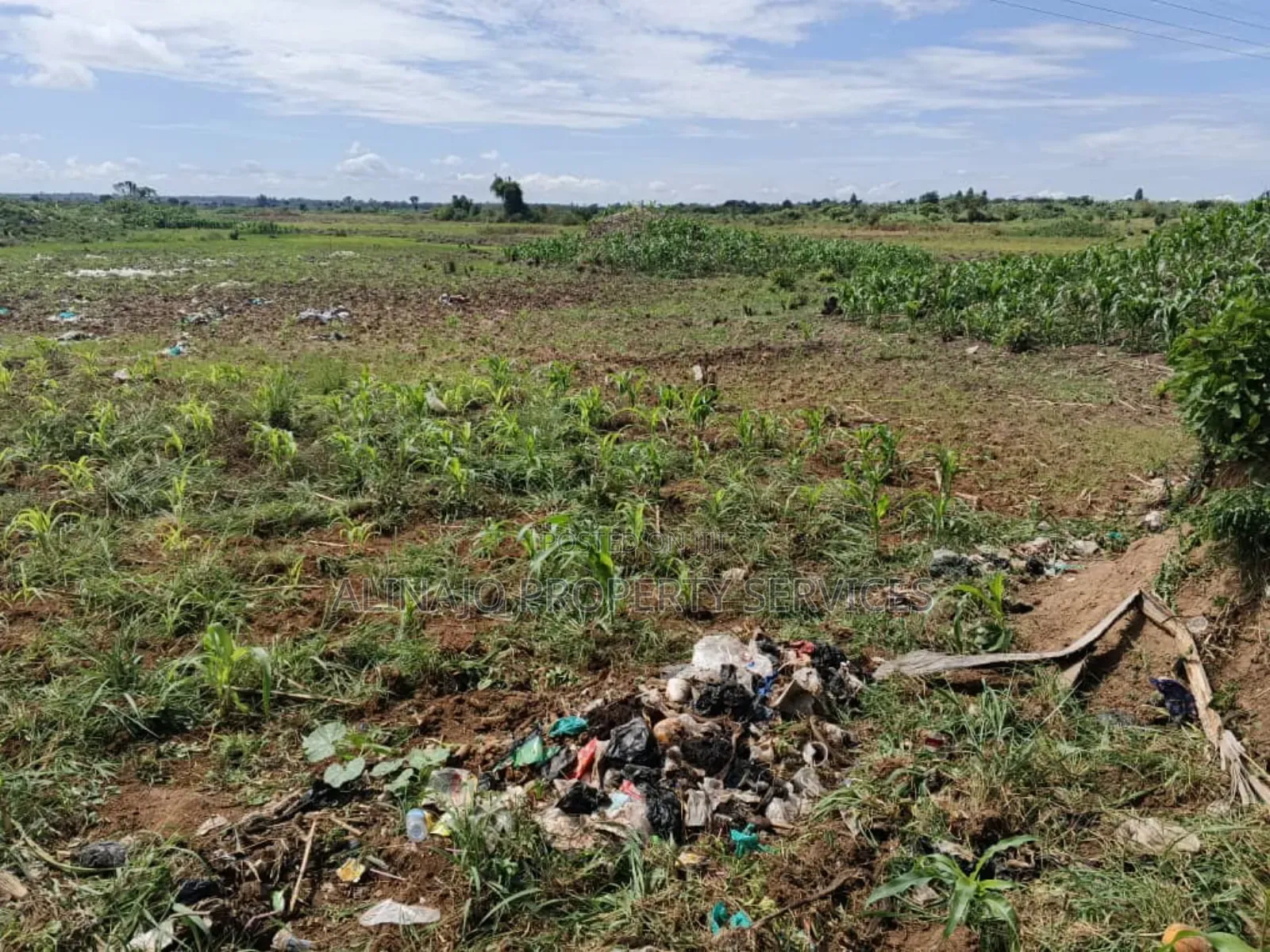 350 Acres , Kikyusa Luwero , Each 7.5m