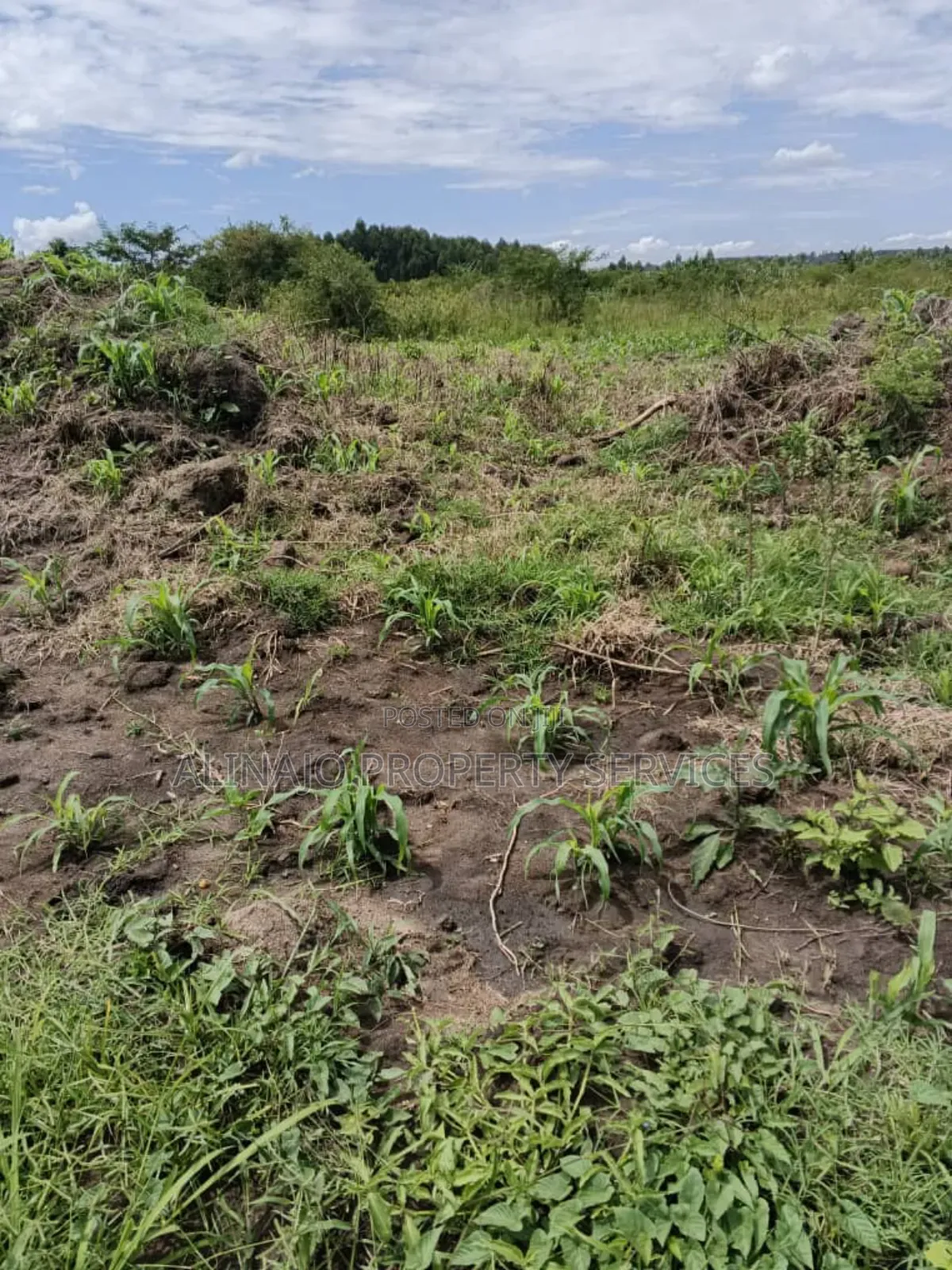 350 Acres , Kikyusa Luwero , Each 7.5m