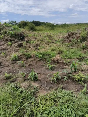 350 Acres , Kikyusa Luwero , Each 7.5m