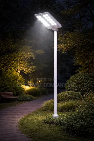 3000w Royal Solar Street Light