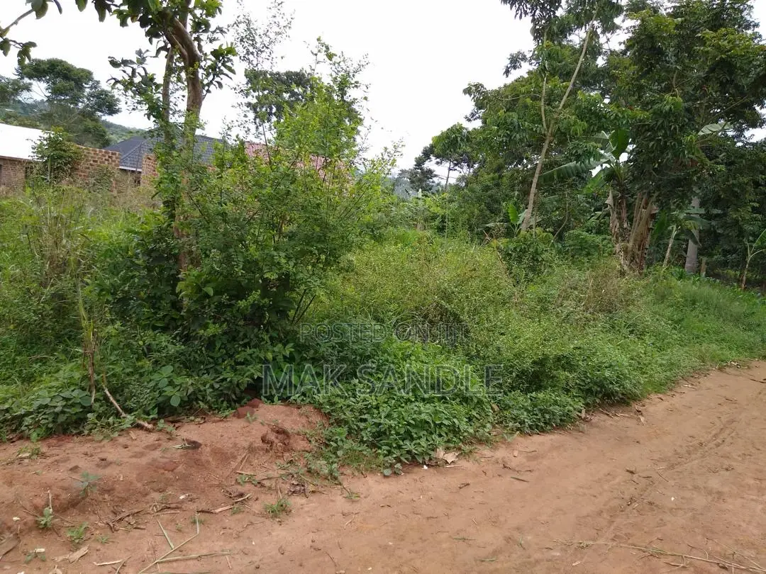 Land 35 by 50 Feet