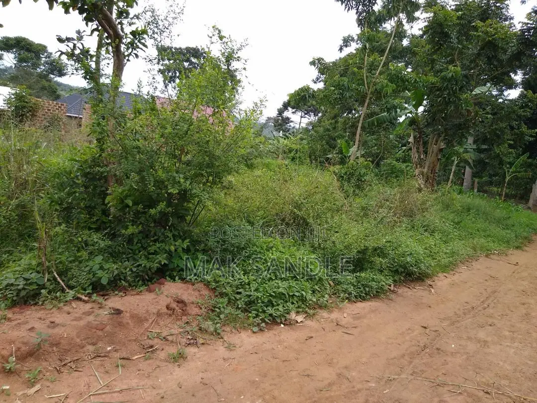 Land 35 by 50 Feet