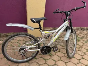 Sport World Classic Bicycle