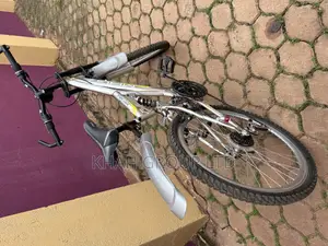 Sport World Classic Bicycle