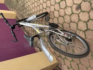 Sport World Classic Bicycle
