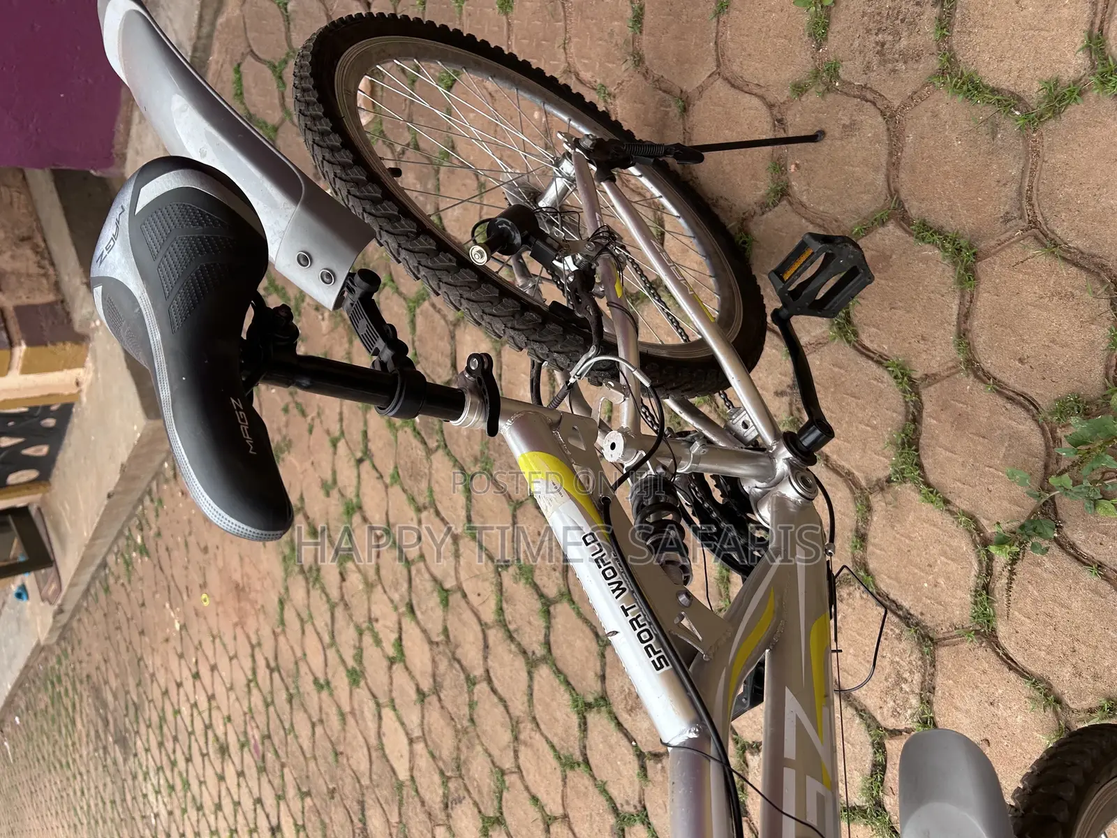Sport World Classic Bicycle