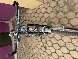 Sport World Classic Bicycle