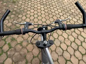 Sport World Classic Bicycle