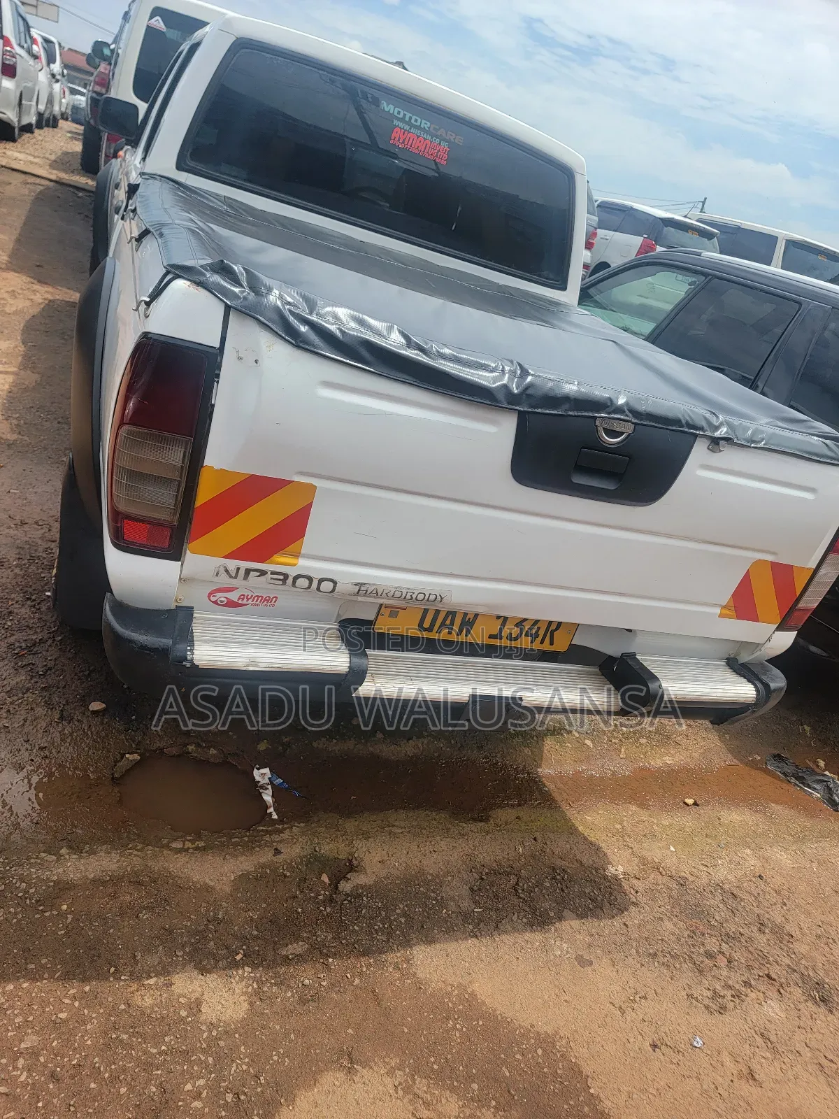 Nissan Hardbody 2002 White