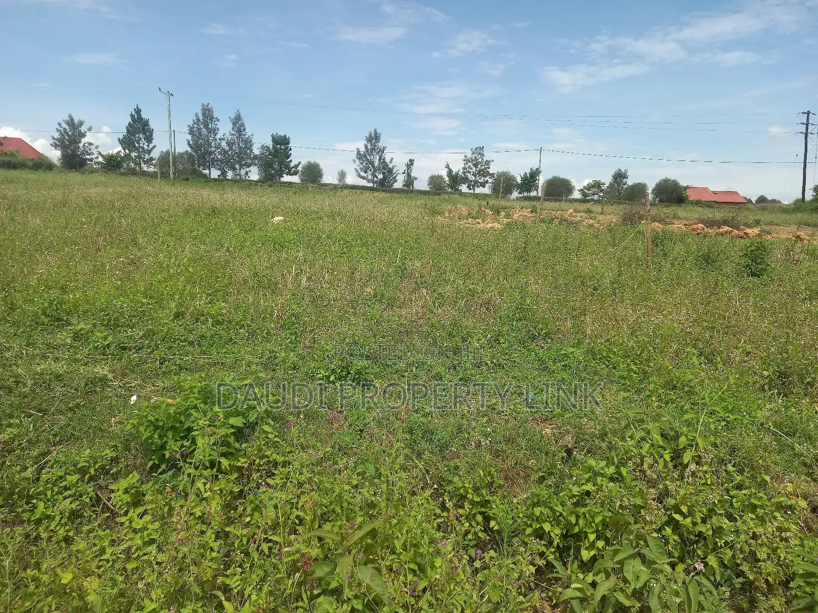 Plot for Sale in Mbarara City. (12.5 Decimals)