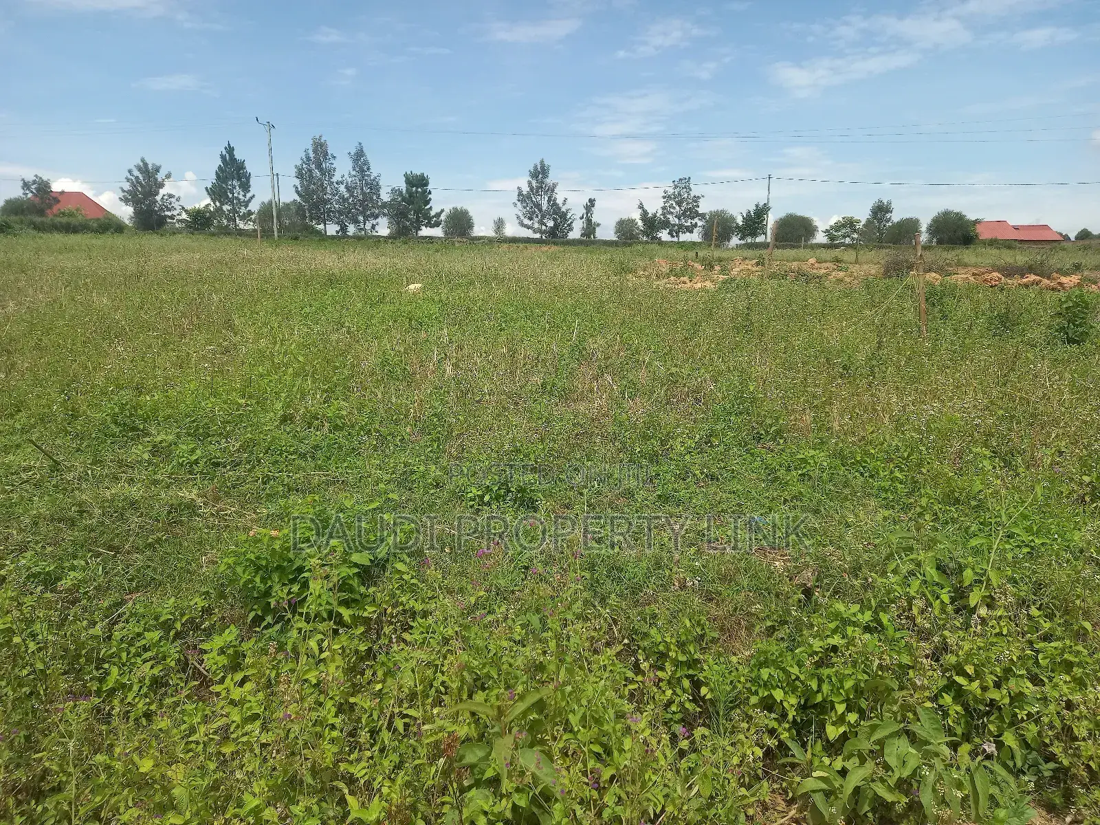 Plot for Sale in Mbarara City. (12.5 Decimals)