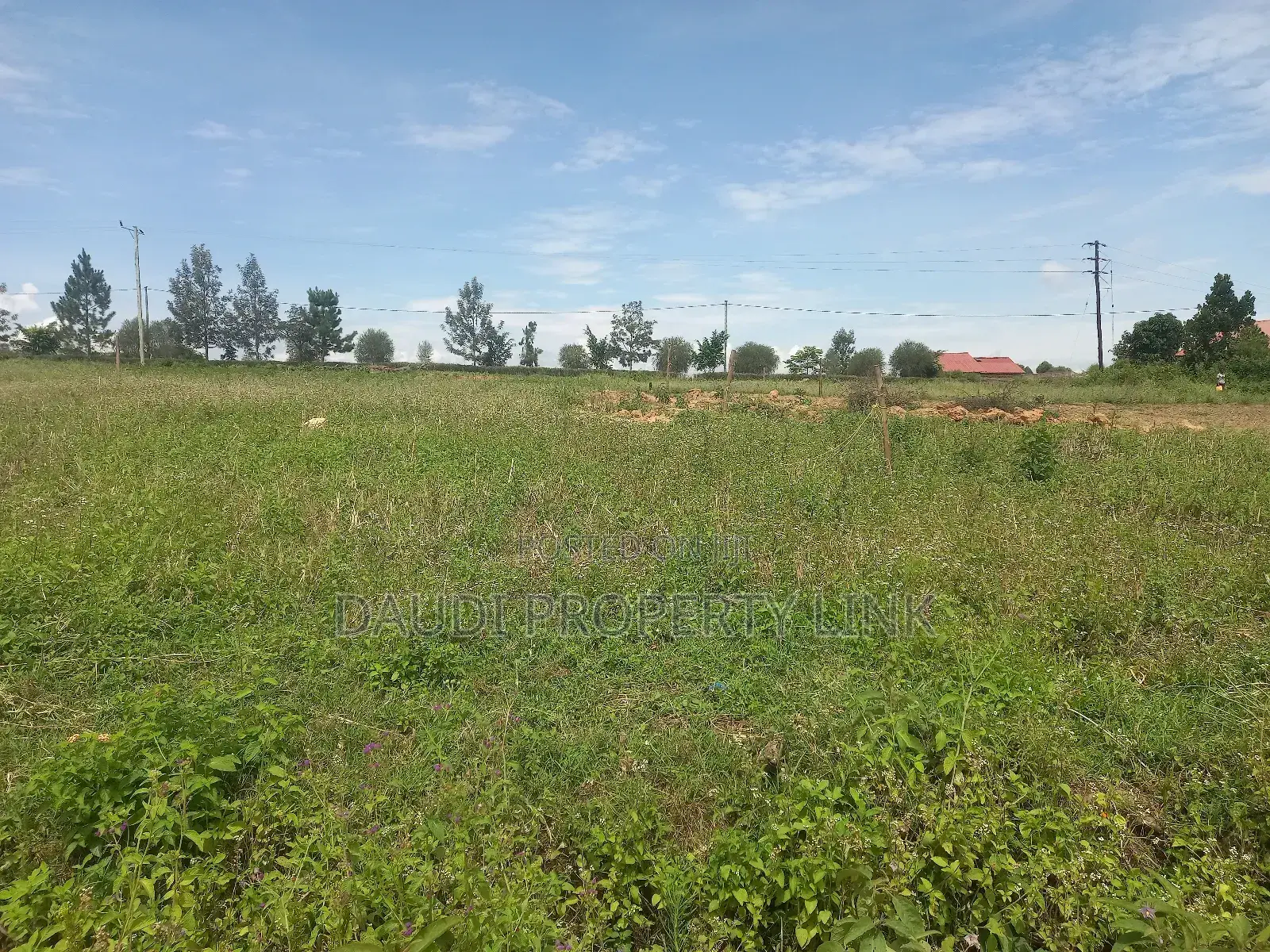 Plot for Sale in Mbarara City. (12.5 Decimals)