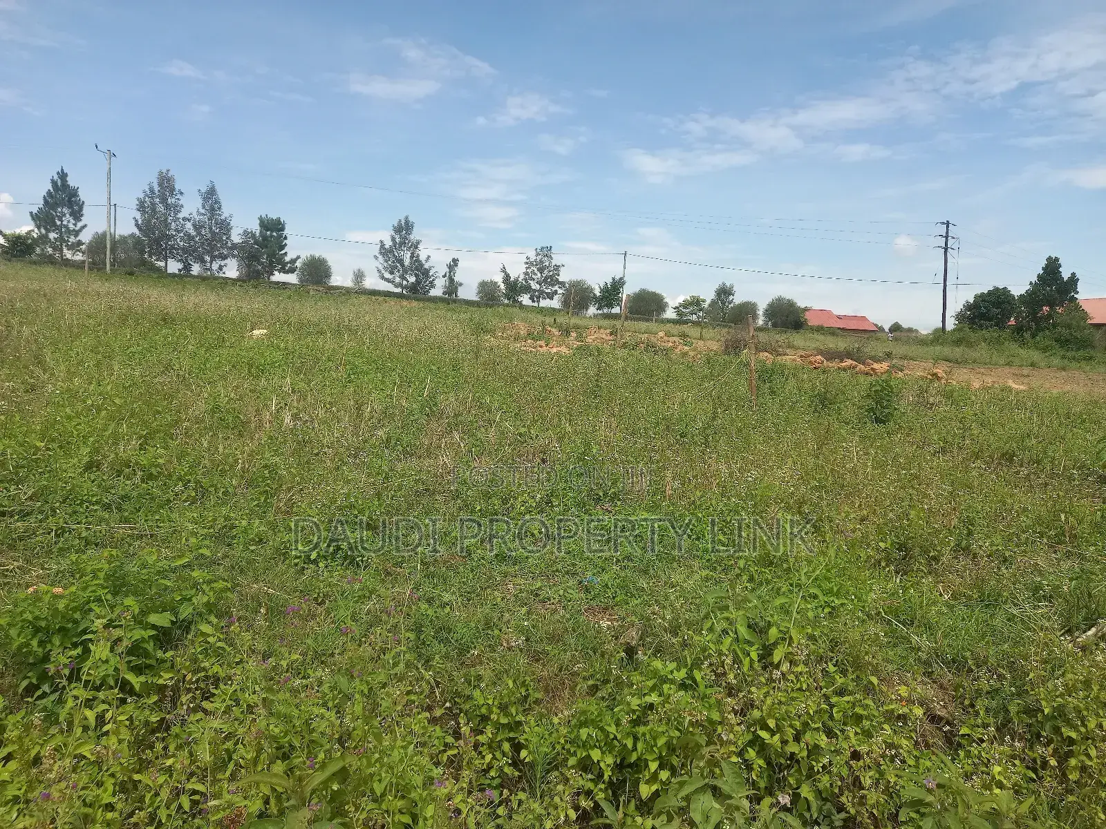 Plot for Sale in Mbarara City. (12.5 Decimals)