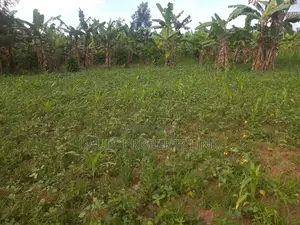 30ft by 100ft on Sale Mbarara City.