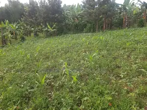 30ft by 100ft on Sale Mbarara City.