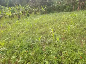 30ft by 100ft on Sale Mbarara City.