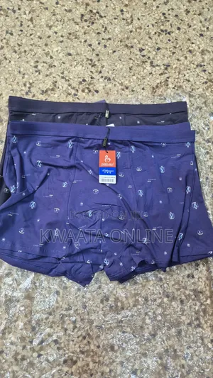 Men's Underwear Briefs Soft Cotton Fat Guy Extended Size Boxers
