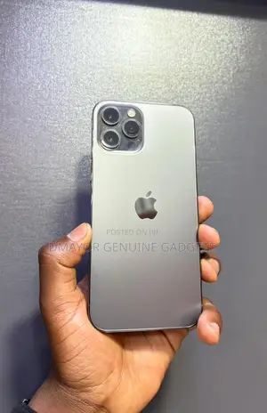 Apple iPhone 12 Pro Max 256 GB Black