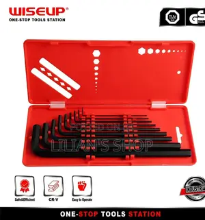 Wiseup 9-Piece Hex Key Set(Allen Wrench Set)