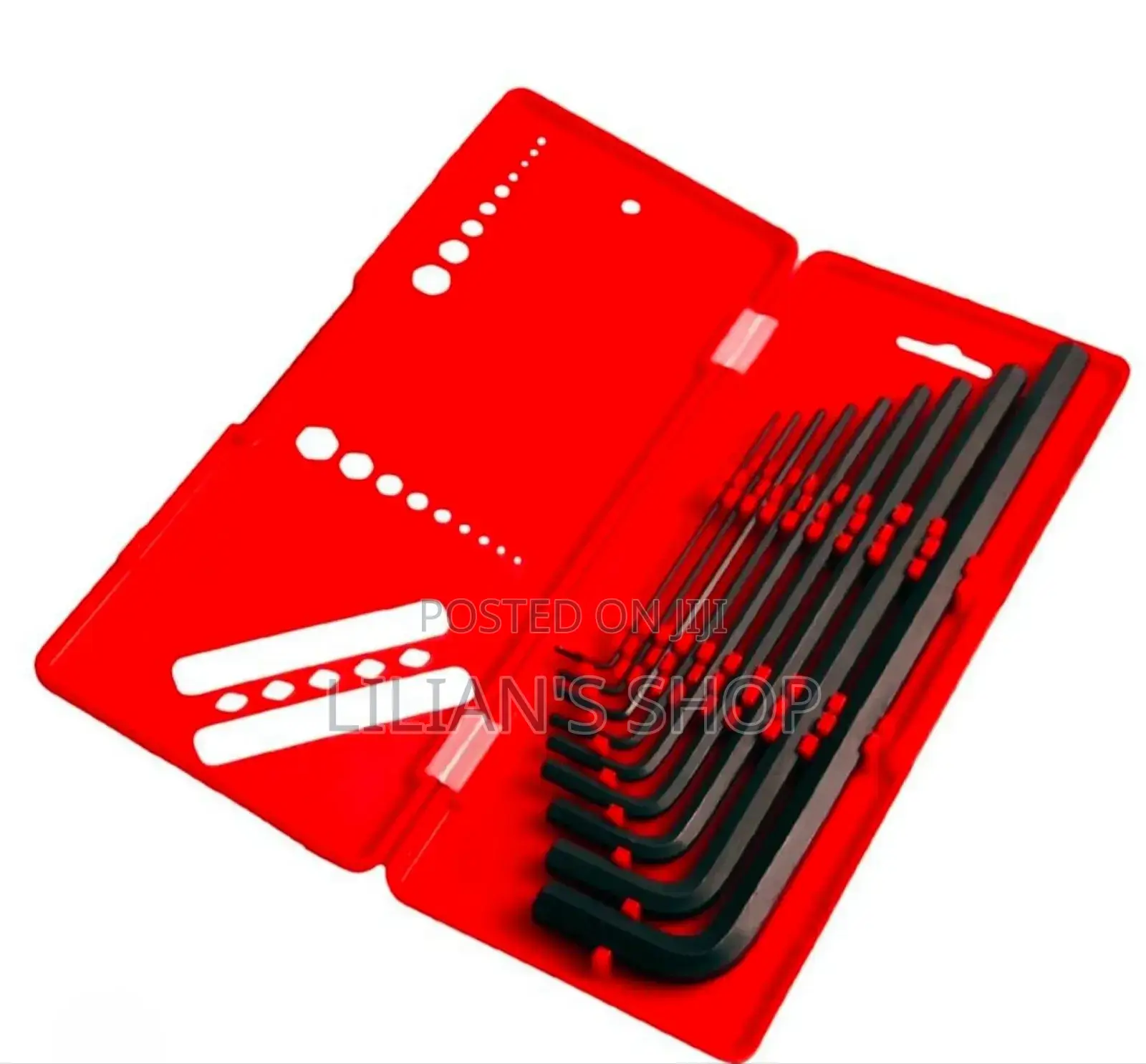 Wiseup 9-Piece Hex Key Set(Allen Wrench Set)